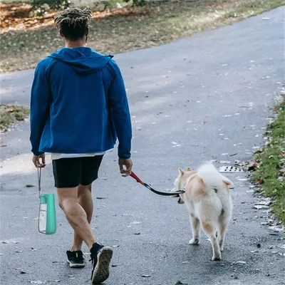 FurryFusion - Bouteille d'eau portable de 550 ml