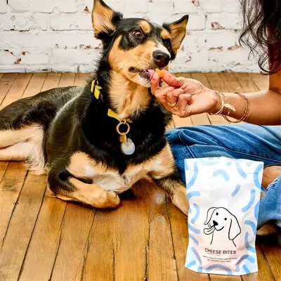 FurryFusion Comprimés de collation nutritifs pour chien et chat