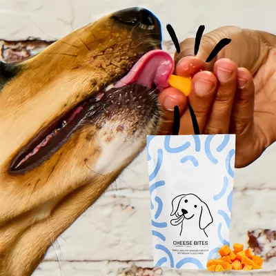 FurryFusion Comprimés de collation nutritifs pour chien et chat