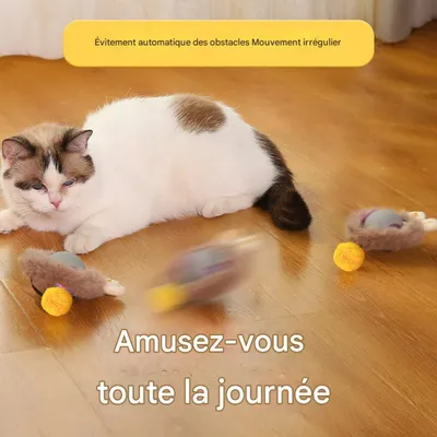 FurryFusion Bille interactive électrique pour chat