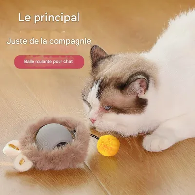 FurryFusion Bille interactive électrique pour chat