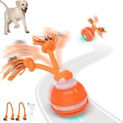 FurryFusion Balle interactive pour chien Orange