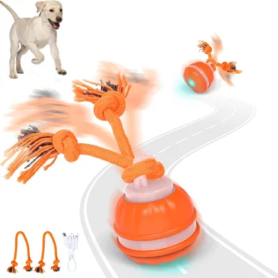 FurryFusion Balle interactive pour chien FurryFusion Balle interactive pour chien