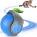 FurryFusion Balle interactive pour chat