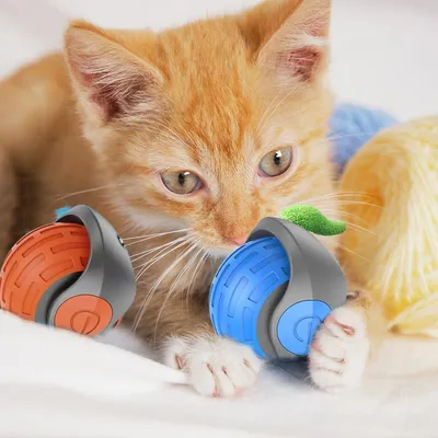 FurryFusion Balle interactive pour chat