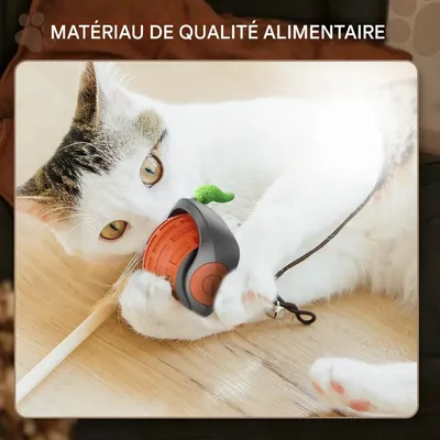 FurryFusion Balle interactive pour chat