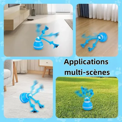 FurryFusion Balle interactive pour chien