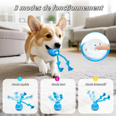 FurryFusion Balle interactive pour chien