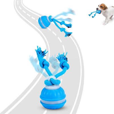 FurryFusion Balle interactive pour chien Bleu