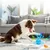FurryFusion Balle interactive pour chien
