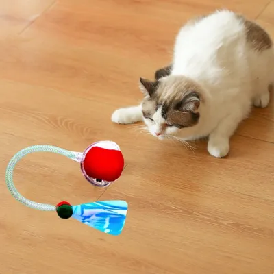FurryFusion Bille interactive pour chat