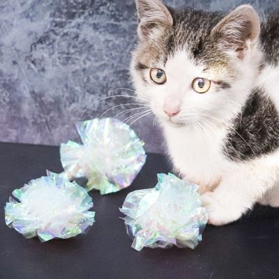 FurryFusion Jouet pour chat en forme de boule de papier colorée
