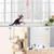 FurryFusion Balle à ressort pour chat