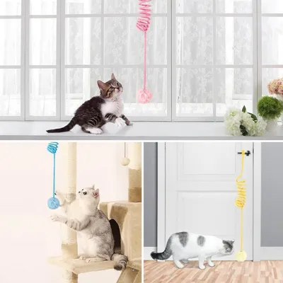 FurryFusion Balle à ressort pour chat