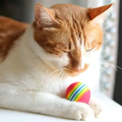 FurryFusion 20 pièces Balles Chat Jouet