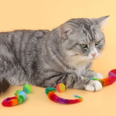 FurryFusion - Jouets pour chat - boule élastique