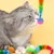FurryFusion - Jouets pour chat - boule élastique