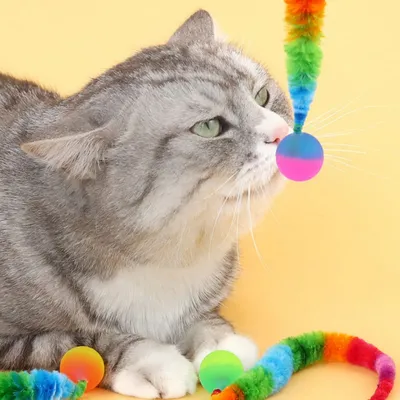 FurryFusion - Jouets pour chat - boule élastique