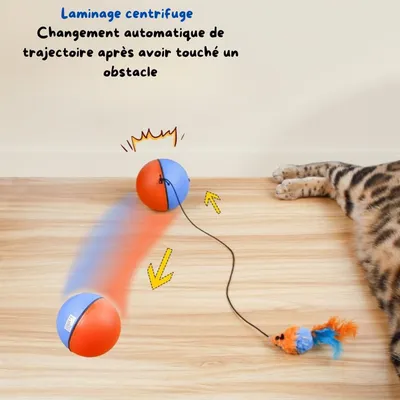 FurryFusion Boule interactive pour chat avec plume