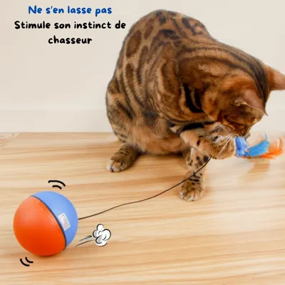 FurryFusion Pelota interactiva para gatos con plumas
