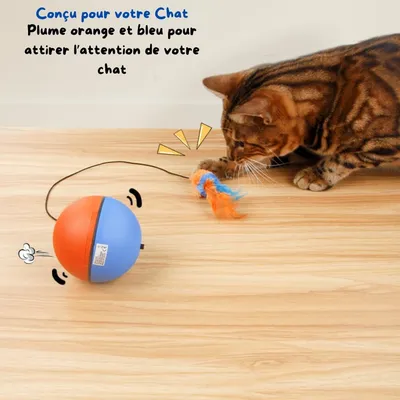 FurryFusion Pelota interactiva para gatos con plumas