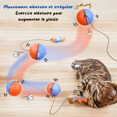 FurryFusion Pelota interactiva para gatos con plumas