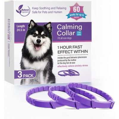 FurryFusion Collier anti - anxiété pour chiens et chats
