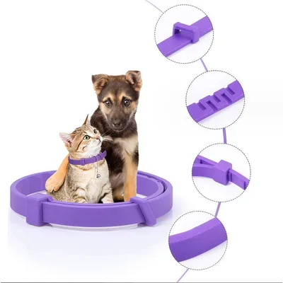 FurryFusion Collier anti - anxiété pour chiens et chats