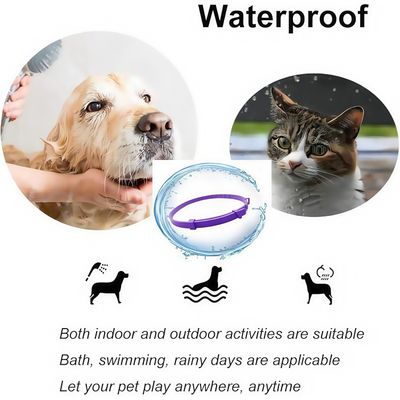 FurryFusion Collier anti - anxiété pour chiens et chats