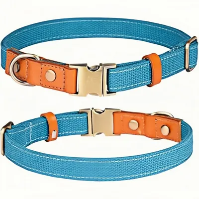 FurryFusion Collier pour chien - Réglable - (Taille M) - bleu FurryFusion Collier pour chien - Réglable - (Taille M) - bleu