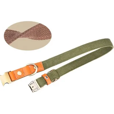 FurryFusion Collier pour chien  - Réglable - (Taille M) - bleu