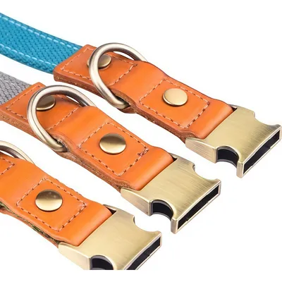 FurryFusion Collier pour chien  - Réglable - (Taille M) - bleu