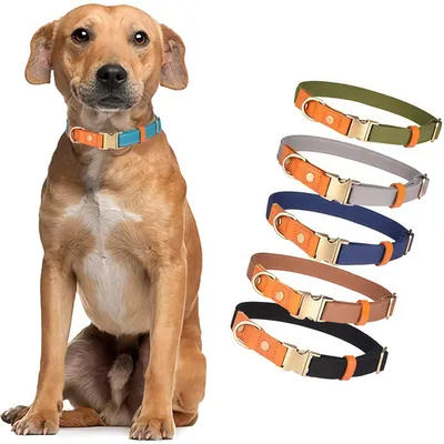 FurryFusion Collier pour chien  - Réglable - Gris