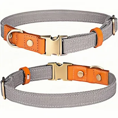 FurryFusion Collier pour chien - Réglable - Gris FurryFusion Collier pour chien - Réglable - Gris