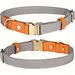FurryFusion Collier pour chien  - Réglable - Gris