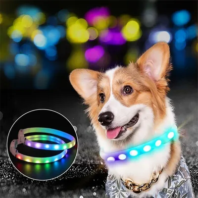 FurryFusion Collier lumineux pour chien