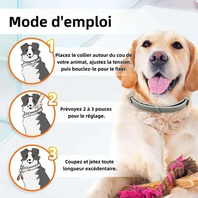 FurryFusion Collier anti-puces et anti-tiques pour chien
