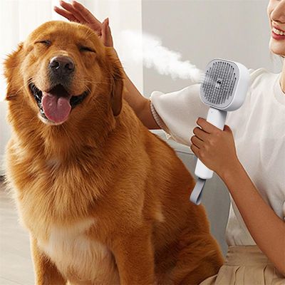 FurryFusion Brosse pour chat autonettoyante