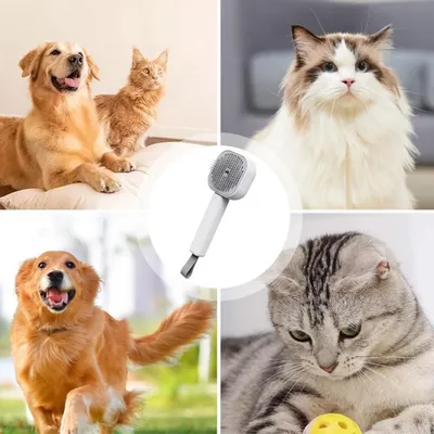 FurryFusion Brosse pour chat autonettoyante