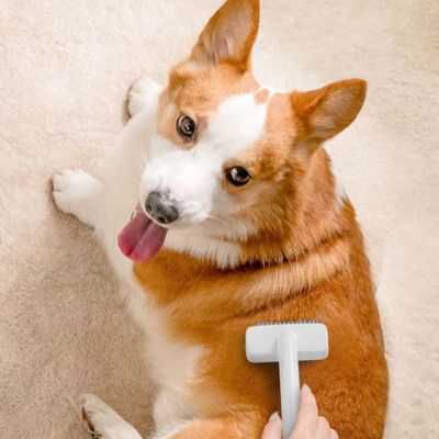 FurryFusion Peigne pour animaux de compagnie - élimine les poils morts