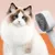 FurryFusion Brosse pour chat autonettoyante