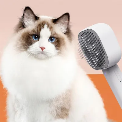 FurryFusion Brosse pour chat autonettoyante
