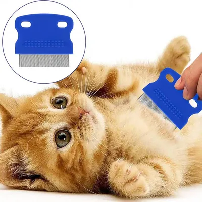 FurryFusion Lot de 6 peignes à poux anti-puces