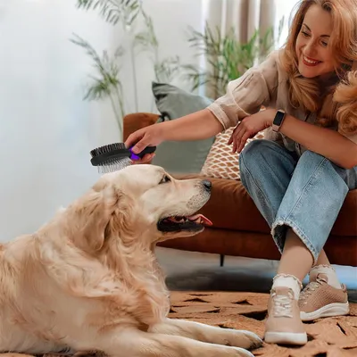 FurryFusion Lot de 2 outils de toilettage pour chien