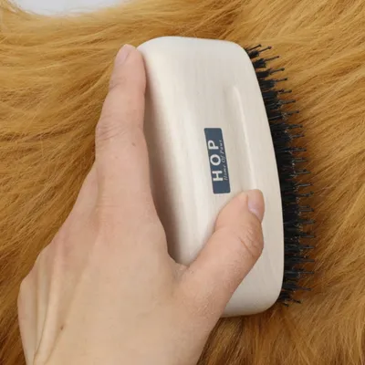 FurryFusion Brosse courbée en bois pour animaux de compagnie