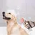 FurryFusion Brosse de bain pour animaux de compagnie à long manche