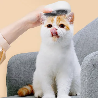 FurryFusion Brosse vapeur pour chat