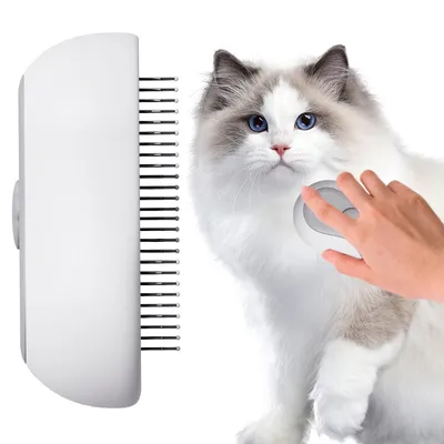 FurryFusion Brosse vapeur pour chat