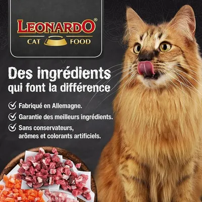 FurryFusion Brosse de toilettage pour chien et chat