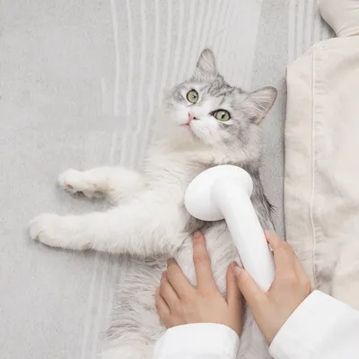 FurryFusion Brosse de bain pour animaux de compagnie à long manche